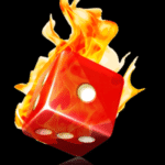 schnyders logo web23